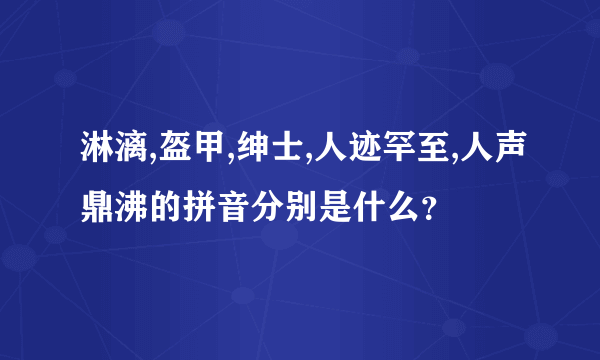 淋漓,盔甲,绅士,人迹罕至,人声鼎沸的拼音分别是什么？