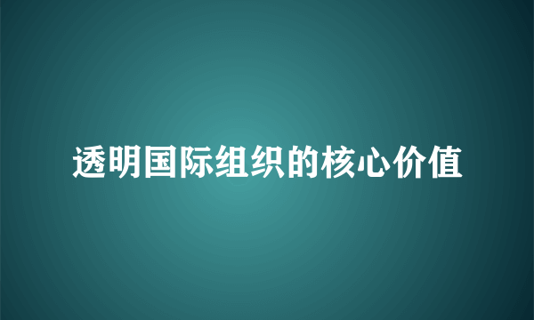 透明国际组织的核心价值