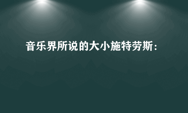 音乐界所说的大小施特劳斯：