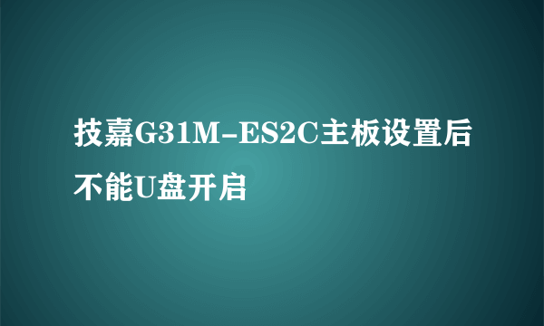 技嘉G31M-ES2C主板设置后不能U盘开启