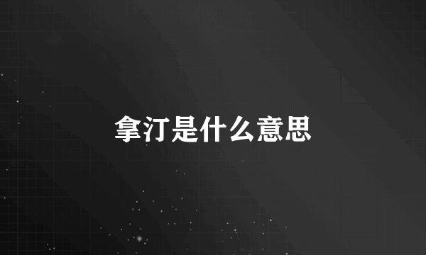 拿汀是什么意思