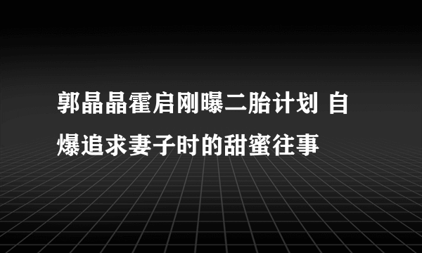 郭晶晶霍启刚曝二胎计划 自爆追求妻子时的甜蜜往事