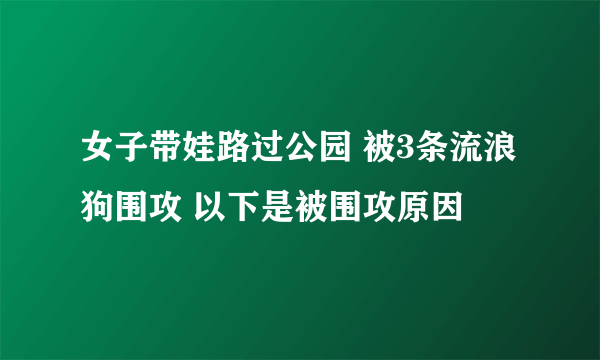 女子带娃路过公园 被3条流浪狗围攻 以下是被围攻原因