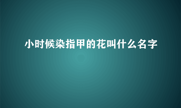 小时候染指甲的花叫什么名字