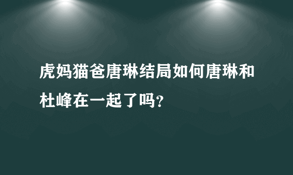 虎妈猫爸唐琳结局如何唐琳和杜峰在一起了吗？