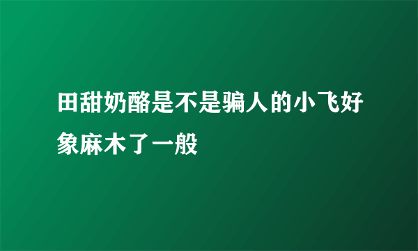 田甜奶酪是不是骗人的小飞好象麻木了一般