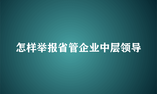 怎样举报省管企业中层领导