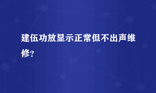 建伍功放显示正常但不出声维修？