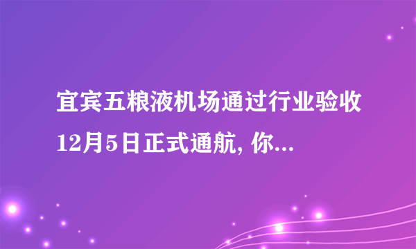 宜宾五粮液机场通过行业验收12月5日正式通航, 你怎么看？