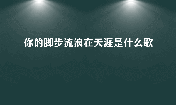 你的脚步流浪在天涯是什么歌