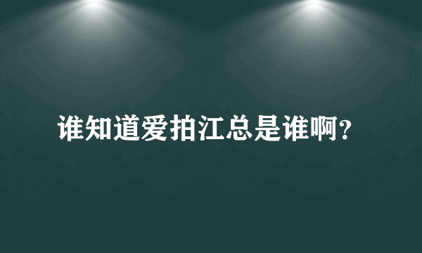 谁知道爱拍江总是谁啊？