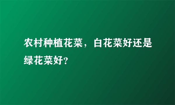 农村种植花菜，白花菜好还是绿花菜好？