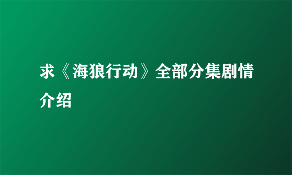 求《海狼行动》全部分集剧情介绍