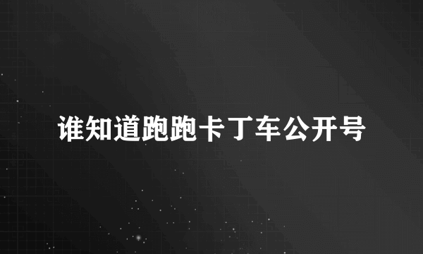 谁知道跑跑卡丁车公开号