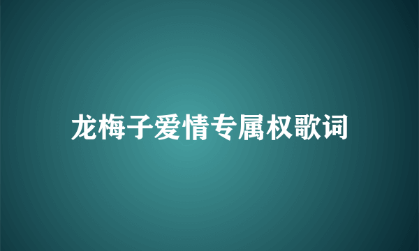 龙梅子爱情专属权歌词