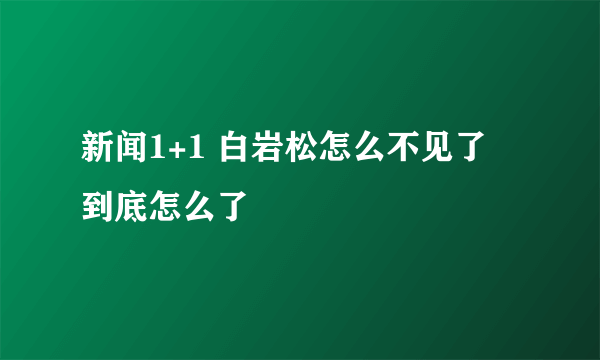 新闻1+1 白岩松怎么不见了 到底怎么了