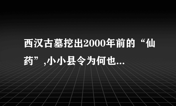 西汉古墓挖出2000年前的“仙药”,小小县令为何也想成仙？