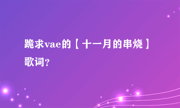 跪求vae的【十一月的串烧】歌词？