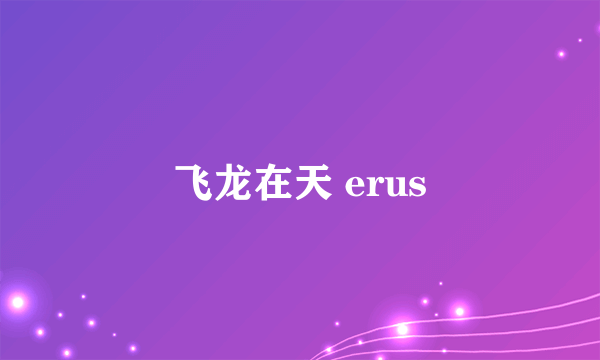 飞龙在天 erus