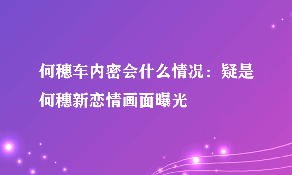 何穗车内密会什么情况：疑是何穗新恋情画面曝光