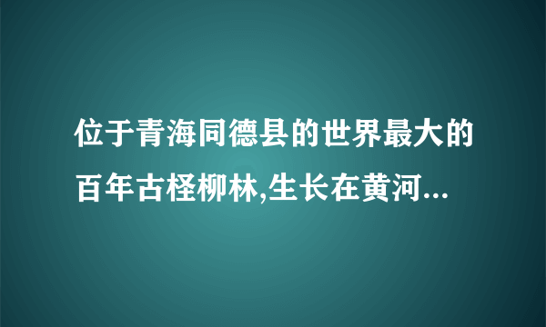 位于青海同德县的世界最大的百年古柽柳林,生长在黄河滩地上,是目前为止发现的唯一一片存在了几百年的柽柳林生态系统,树高、树粗、树龄,还有分布高度都是世界第一。然而,到xx底,建设中的羊曲水电站大坝落成后,这片全世界独一无二的野生古柽柳林将全部被淹没在水库中。工程投资方提出了移植保护方案,遭到专家们的明确反对。请你推测工程投资方(4分)与专家方(6分)各自的理由。(10分)