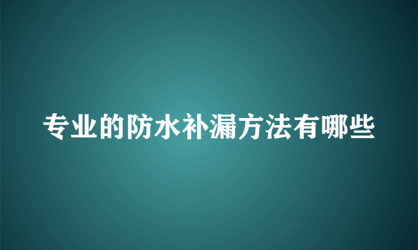 专业的防水补漏方法有哪些