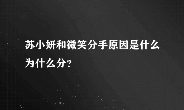 苏小妍和微笑分手原因是什么为什么分？