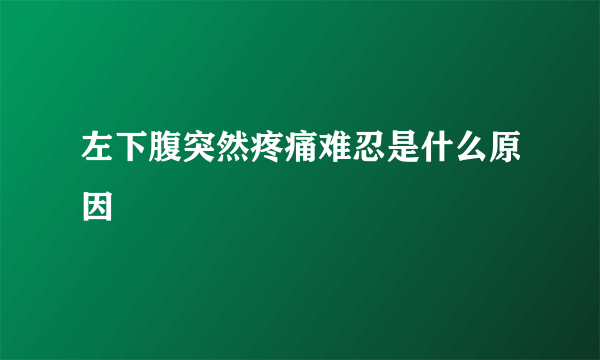 左下腹突然疼痛难忍是什么原因