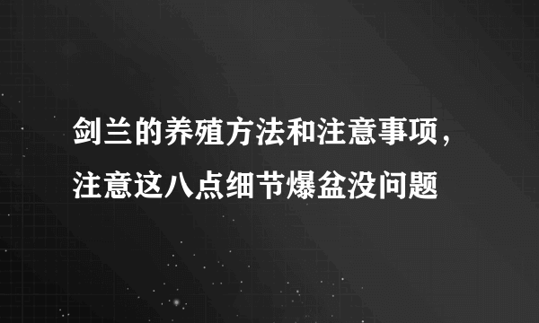 剑兰的养殖方法和注意事项，注意这八点细节爆盆没问题