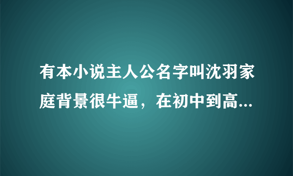 有本小说主人公名字叫沈羽家庭背景很牛逼，在初中到高中老师校花全收，女主人公有个叫王瑶的...是哪部小说