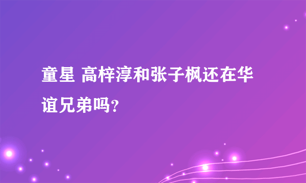 童星 高梓淳和张子枫还在华谊兄弟吗？