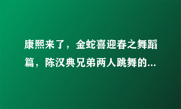 康熙来了，金蛇喜迎春之舞蹈篇，陈汉典兄弟两人跳舞的背景音乐，中间的一段？