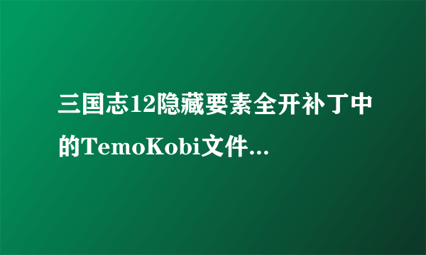 三国志12隐藏要素全开补丁中的TemoKobi文件要放在哪里