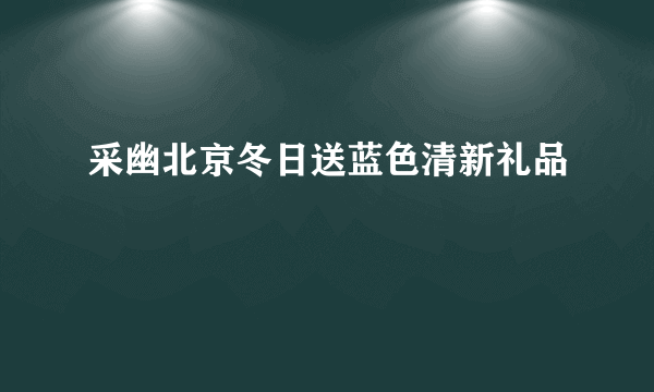 采幽北京冬日送蓝色清新礼品