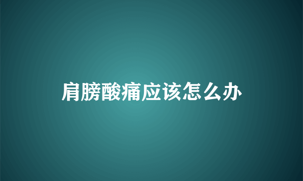 汉字听写大会历届冠军