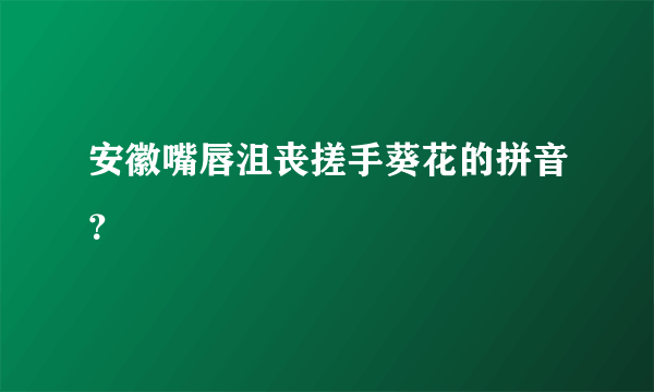 安徽嘴唇沮丧搓手葵花的拼音？