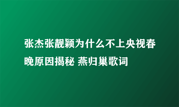 张杰张靓颖为什么不上央视春晚原因揭秘 燕归巢歌词