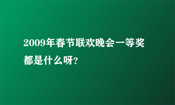 2009年春节联欢晚会一等奖都是什么呀？