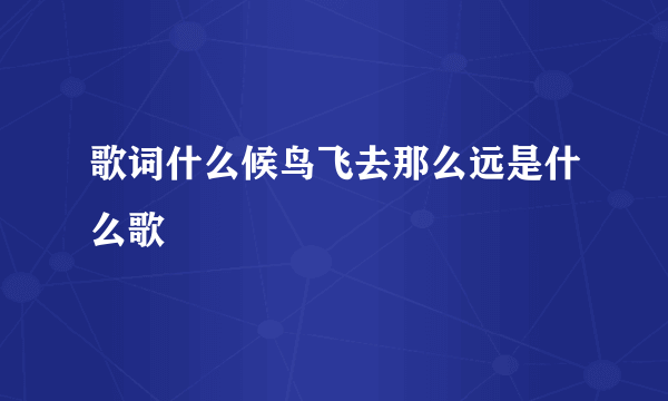 歌词什么候鸟飞去那么远是什么歌