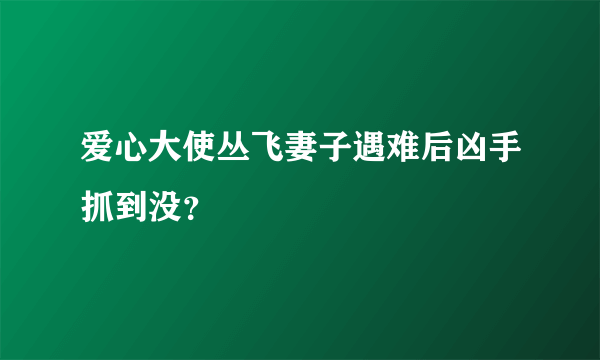 爱心大使丛飞妻子遇难后凶手抓到没？