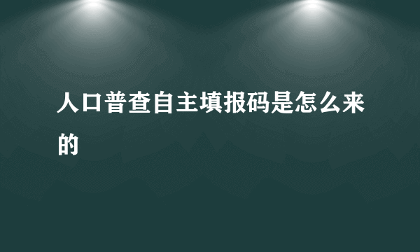 人口普查自主填报码是怎么来的