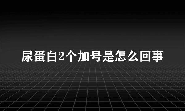 尿蛋白2个加号是怎么回事