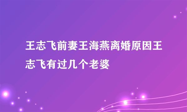 王志飞前妻王海燕离婚原因王志飞有过几个老婆