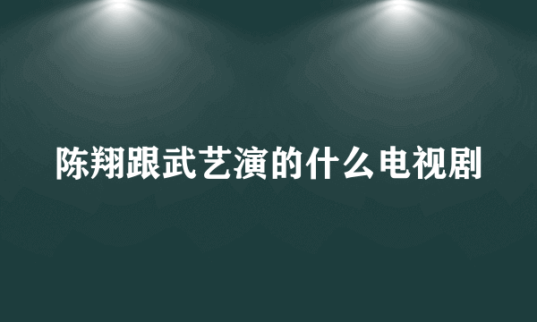 陈翔跟武艺演的什么电视剧