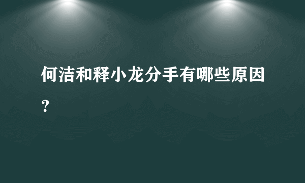 何洁和释小龙分手有哪些原因？