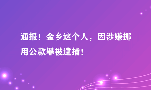 通报！金乡这个人，因涉嫌挪用公款罪被逮捕！