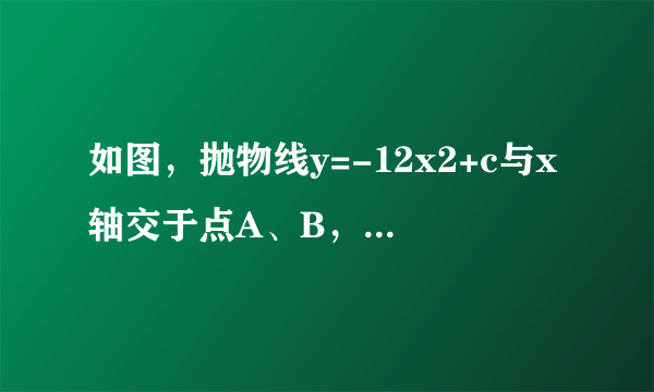 如图，抛物线y=-12x2+c与x轴交于点A、B，且经过点D(-√3，92)(1)求c；(2)若点C为抛物线上一点，且直线AC把四边形ABCD分成面积相等的两部分，试说明AC平分BD，且求出直线AC的解析式；(3)x轴上方的抛物线y=-12x2+c上是否存在两点P、Q，满足Rt△AQP全等于Rt△ABP？若存在，求出P、Q两点；若不存在，请说明理由．