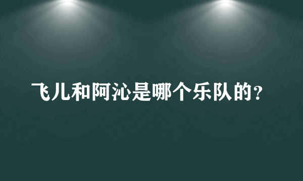 飞儿和阿沁是哪个乐队的？