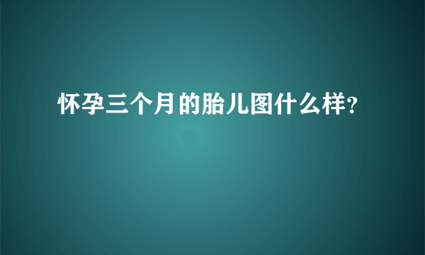 怀孕三个月的胎儿图什么样？