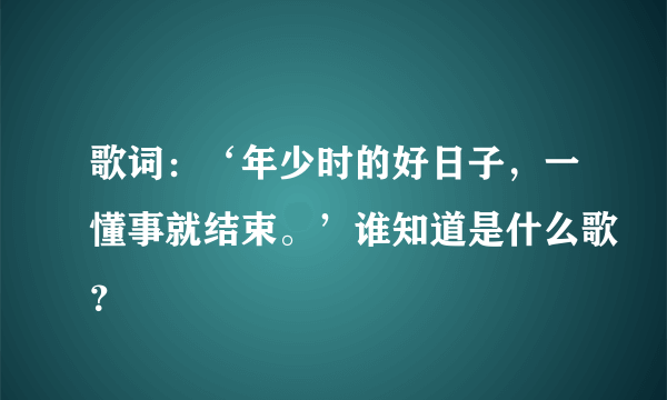 歌词：‘年少时的好日子，一懂事就结束。’谁知道是什么歌？